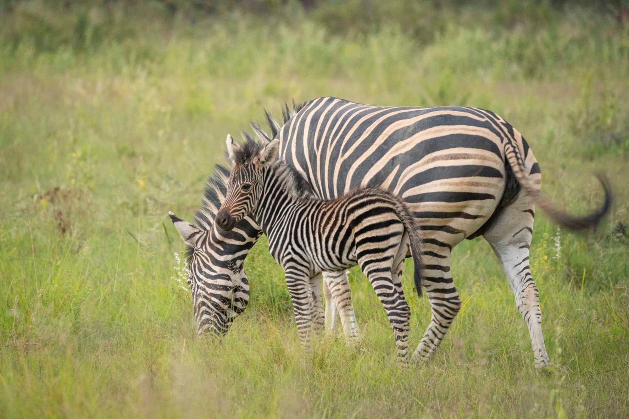 Ekuthuleni Lodge Strand Bagian luar foto